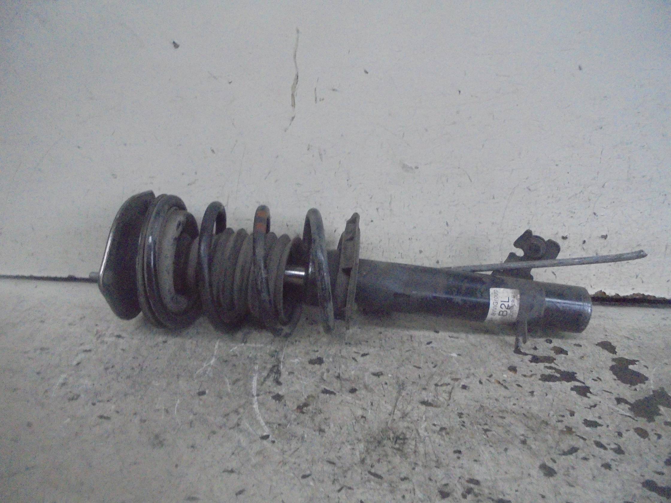 Ammortizzatore ant. sx.